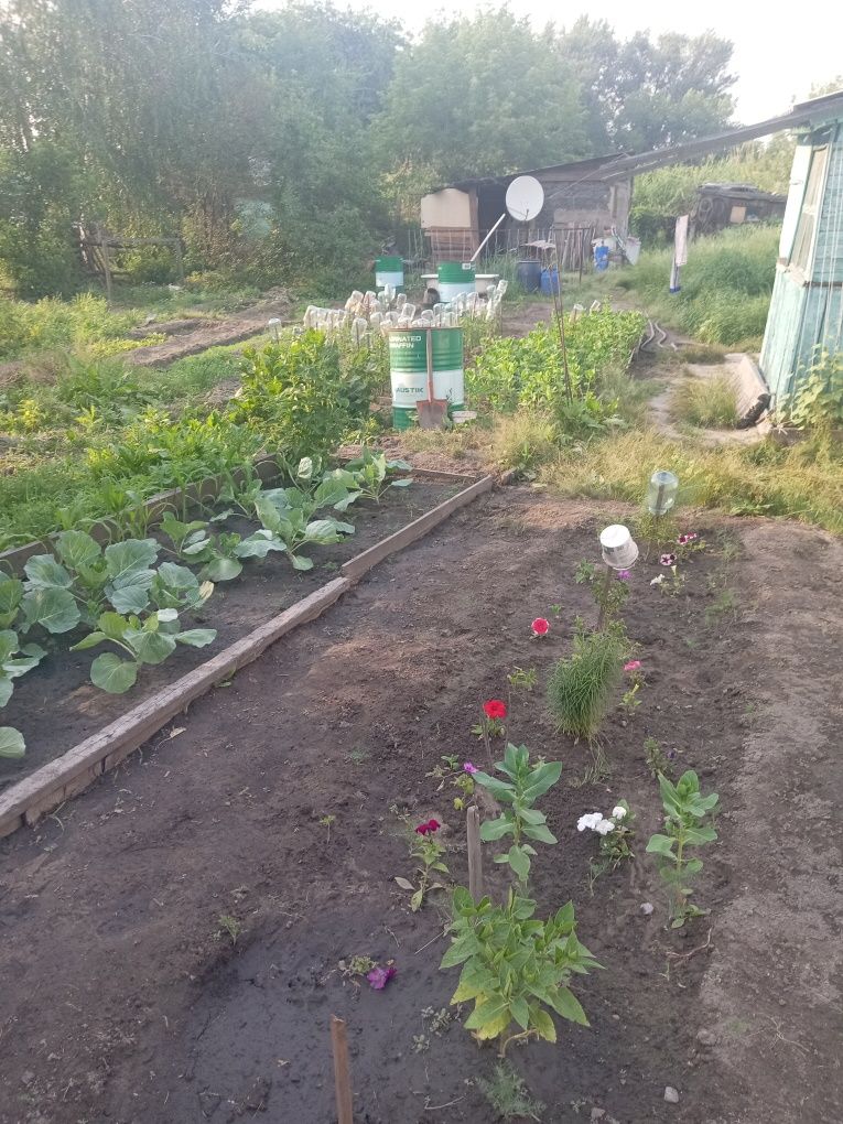 Продам дом на 2 хозяина вход  ограда отдельно.