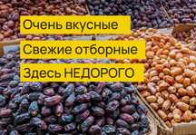 Свежие отборные Финики Прямые поставки из Саудовской Аравии Курма