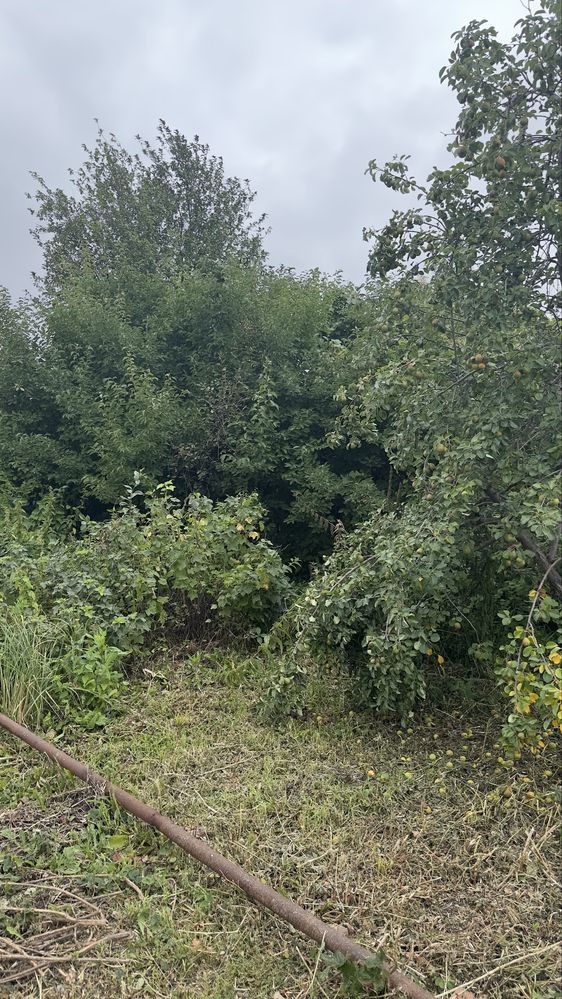 Продам дачу 6 соток