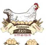Куры несушки Белые