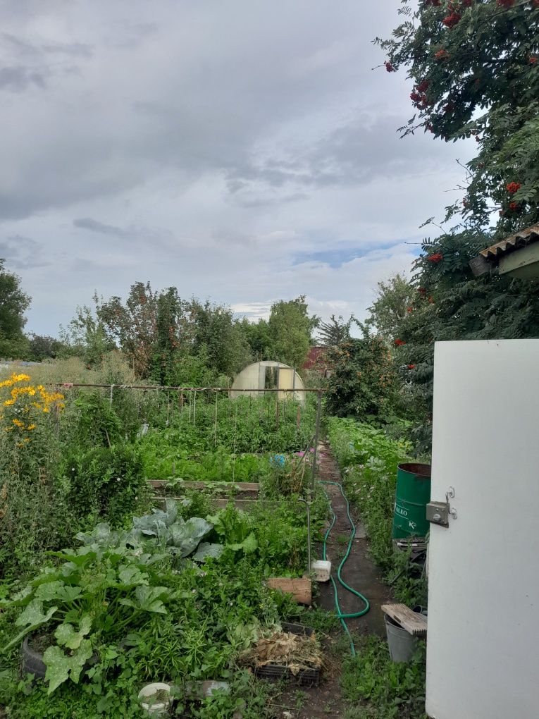 Продам дачу 6 соток