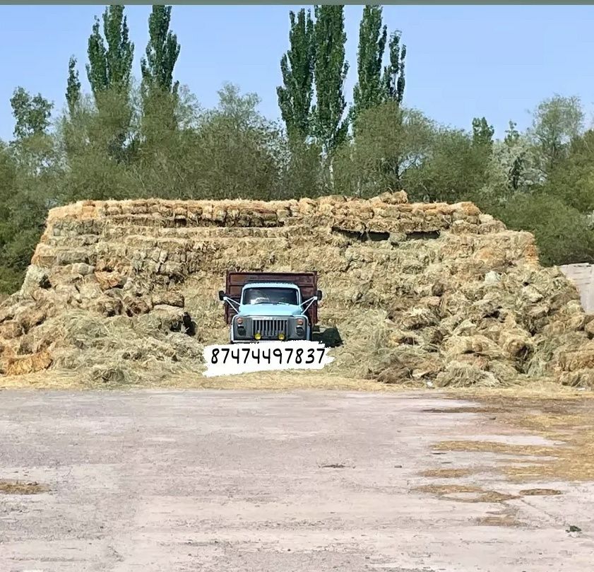 Сено Табиги  Шоп Разнотравье