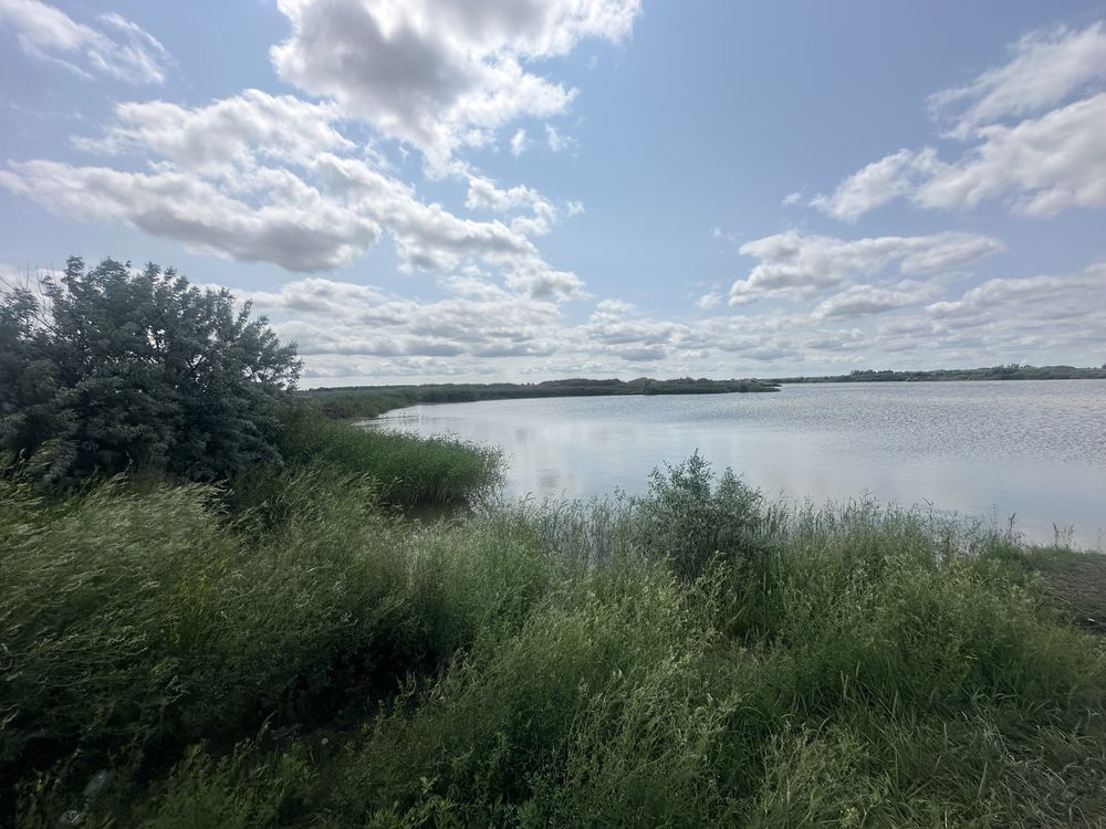 Ищу управляющего озером - рыбалка, вылов, прокат