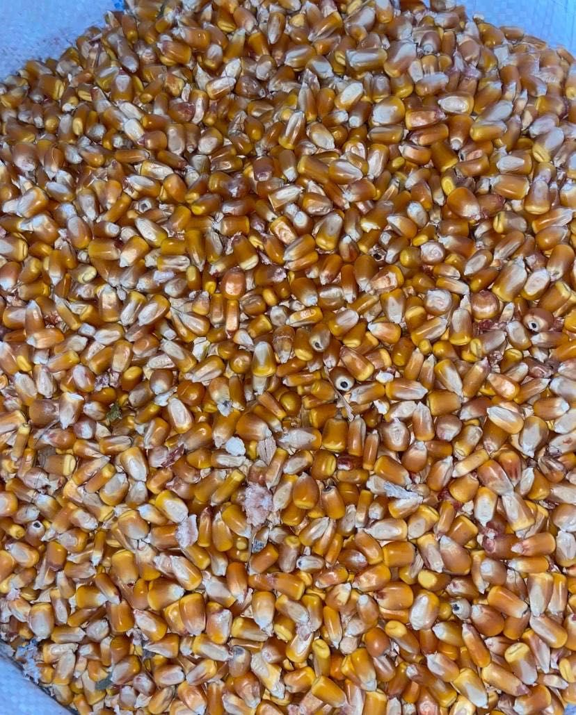 Продам разное зерно отруби дроблёнку