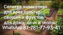 Селитра аммиачная удобрение для дома, дачи и теплиц.