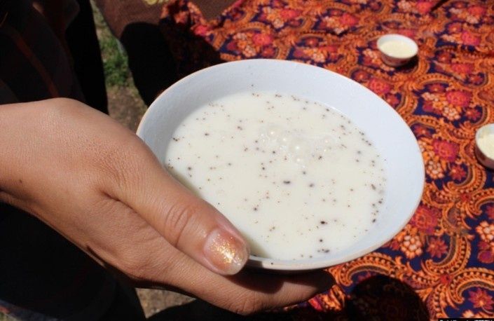 Кымыз шубат. Кумыс. Қымыз. Шұбат. Курт, Құрт,
