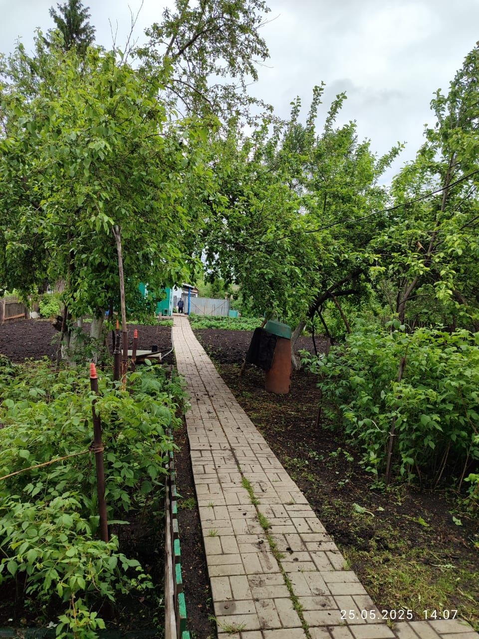 Продам дачу в сообществе Путеец-3