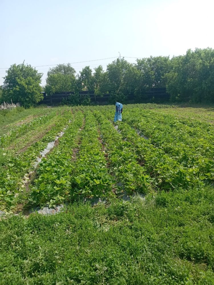 Продам дом на ГРП