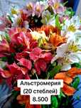 Цветы в розницу по оптовым ценам в Алматы!