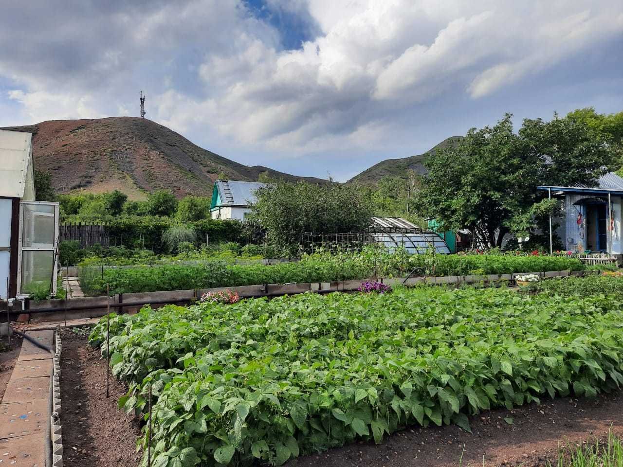 Продается дача в СПП - Металлург с урожаем