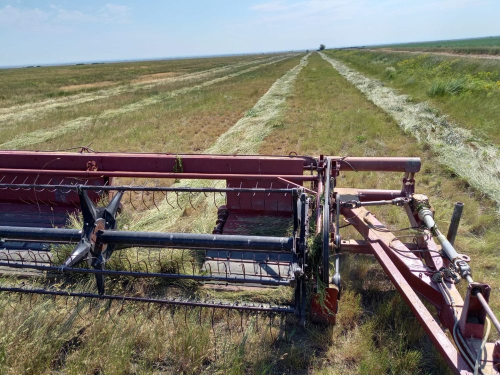 Продам действующее КХ на пролетарке. ЗКО Аксай.