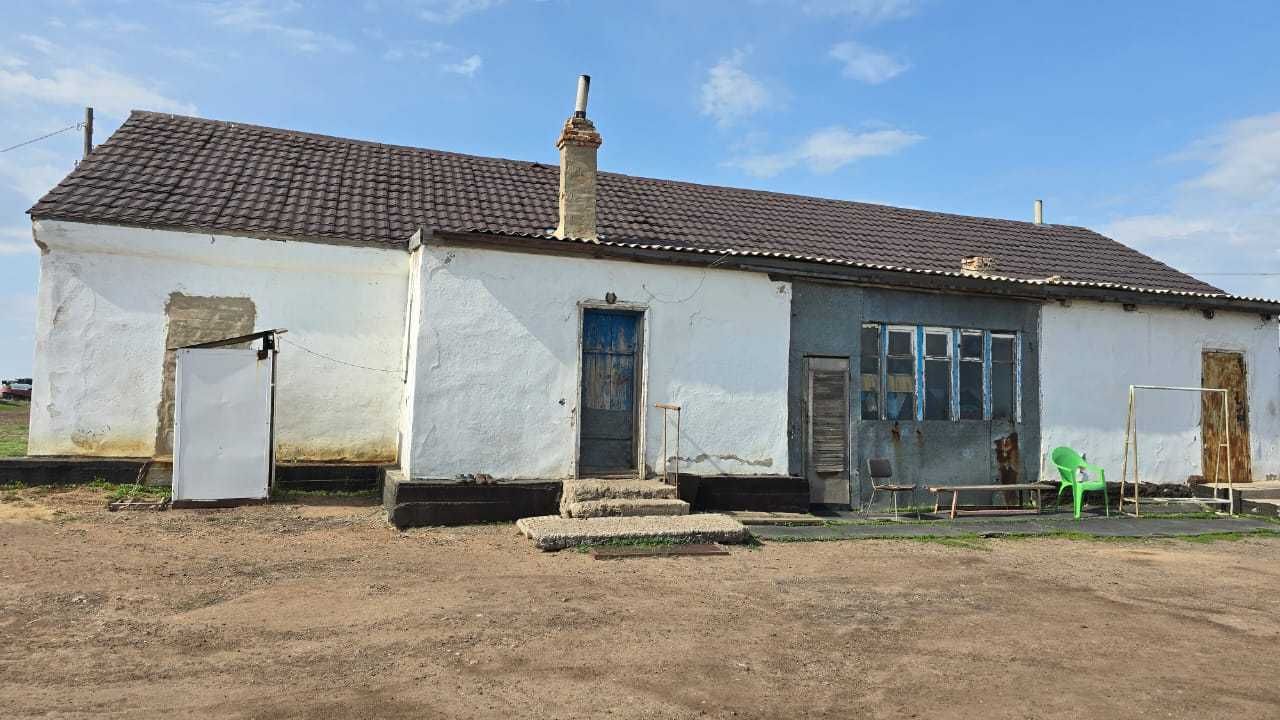 Крестьянское хозяйство, ферма (Караганда)