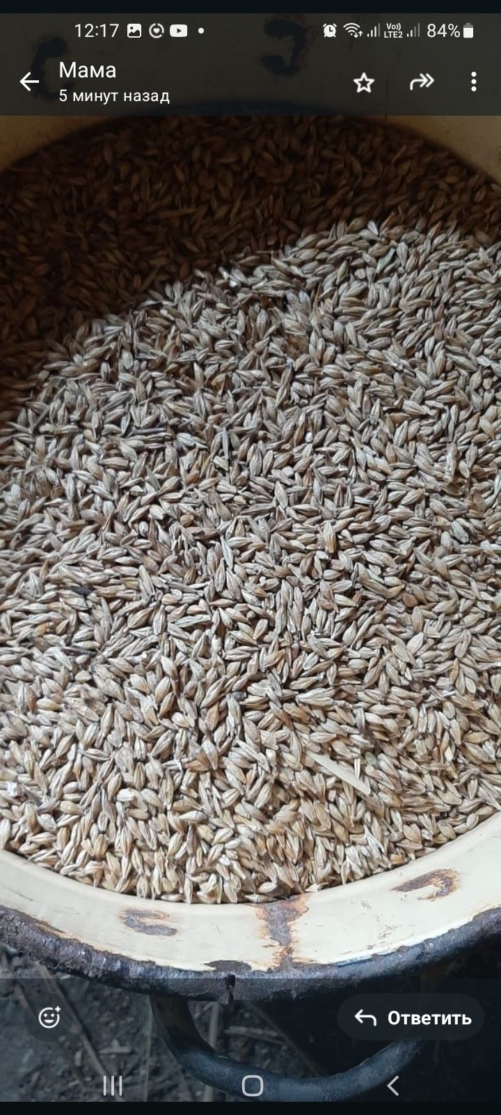 Продам пшеницу ,ямень мешками