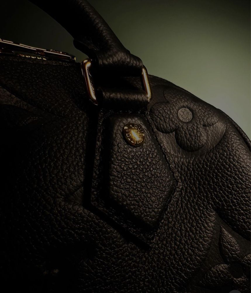 Сумка Louis Vuitton Bandouliere люкс 1в1