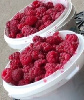Продается масло домашние,гуси,утки,малина замороженная