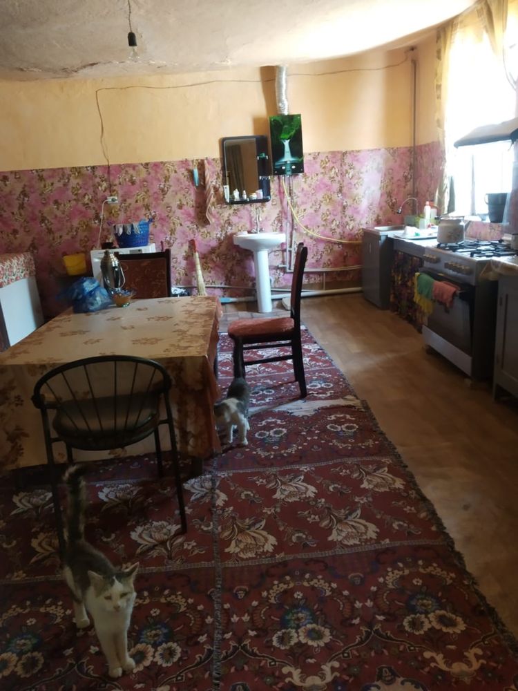 Дом с очень большим участком