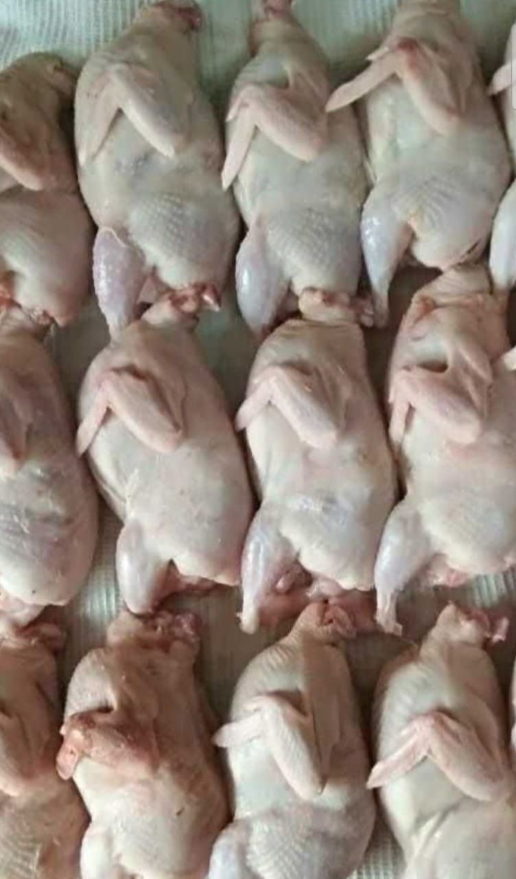 Продам мясо перепилиные