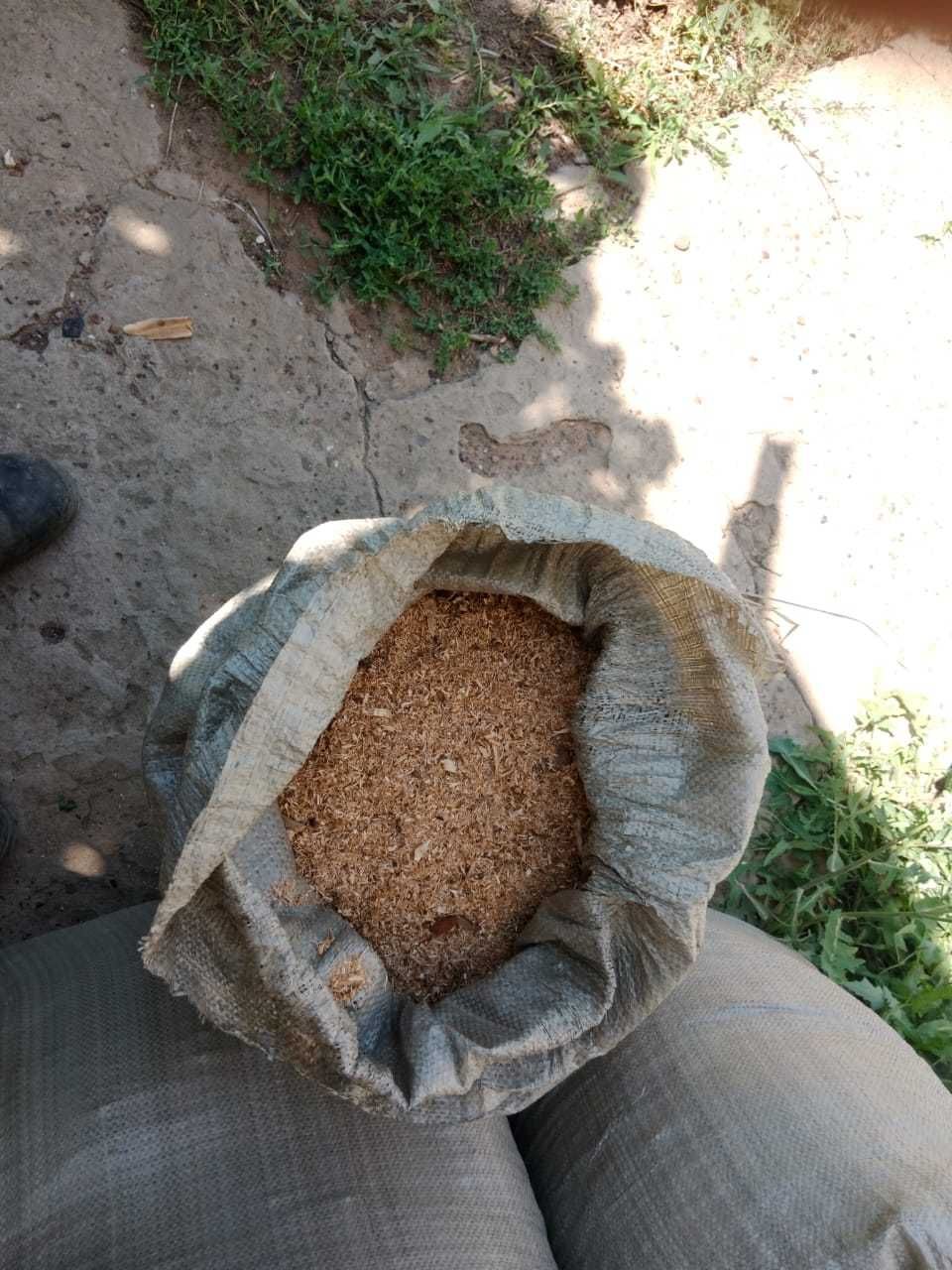 Опилка без стружки, чистый дерево.