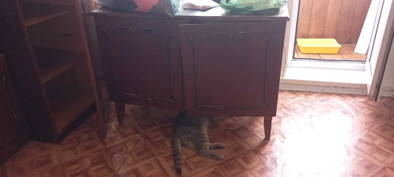 Стенка , тумба , прихожая