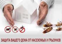 Дезинсекция подъездов и подвалов в Шымкенте — защита от насекомых