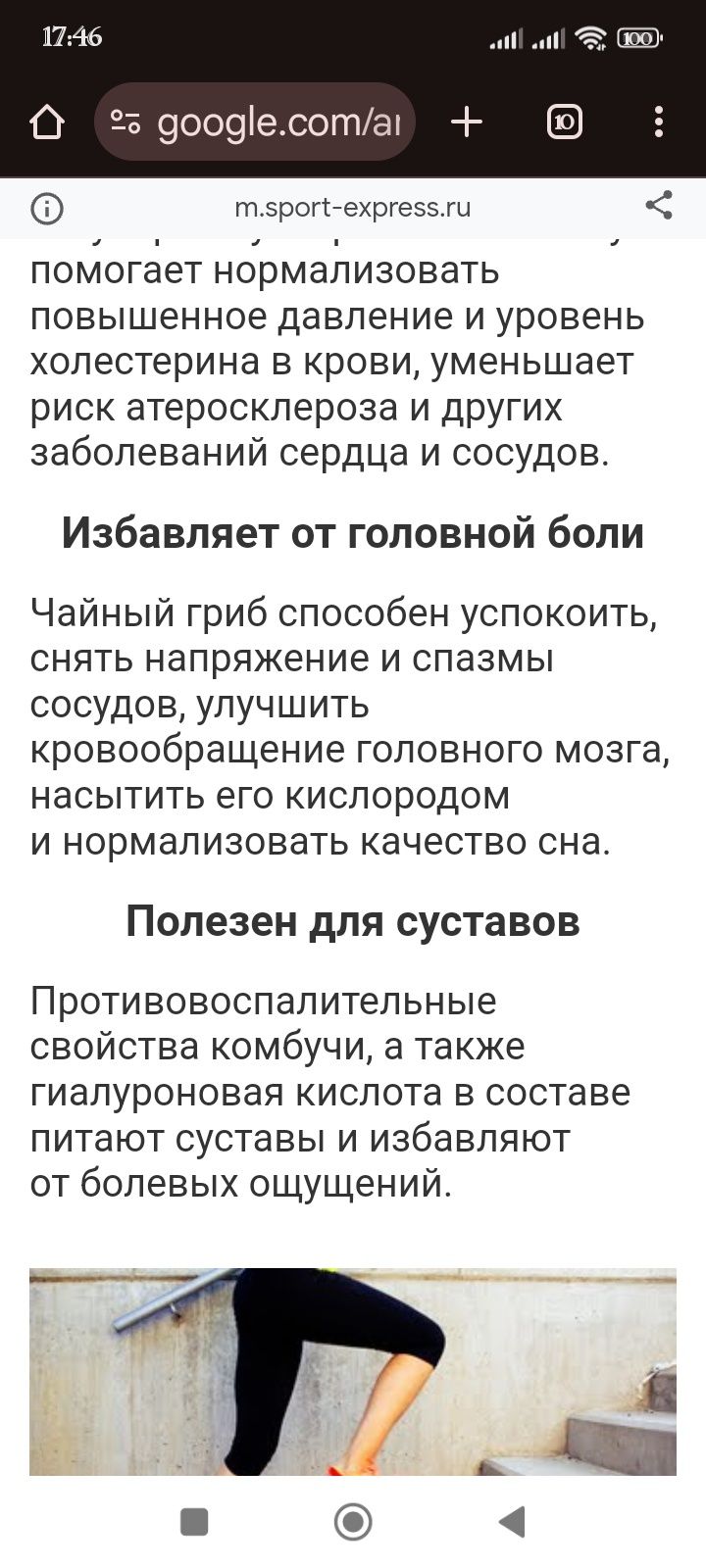 Лечебный -Гриб чайный