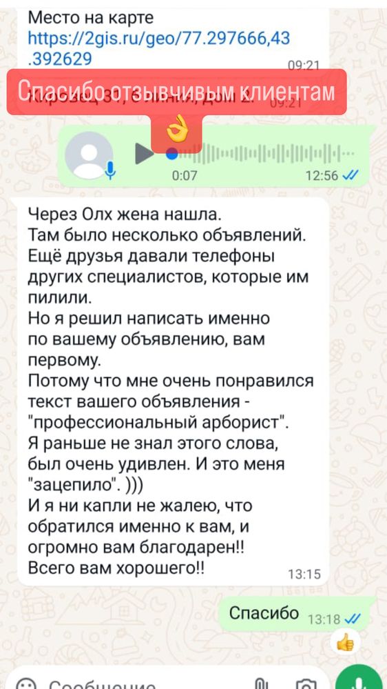 Обрезка и спил деревьев.Спилить дерево,распил,спилим деревья,спилить