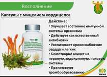 Продам кордицепс!