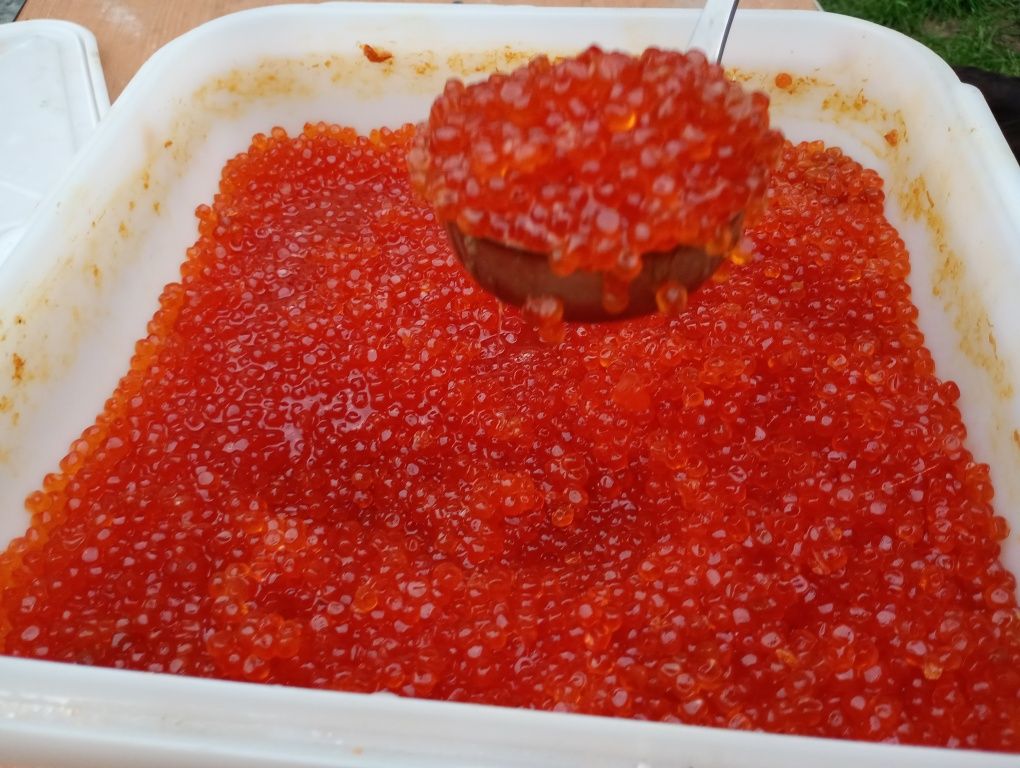 Продам красную икру кета