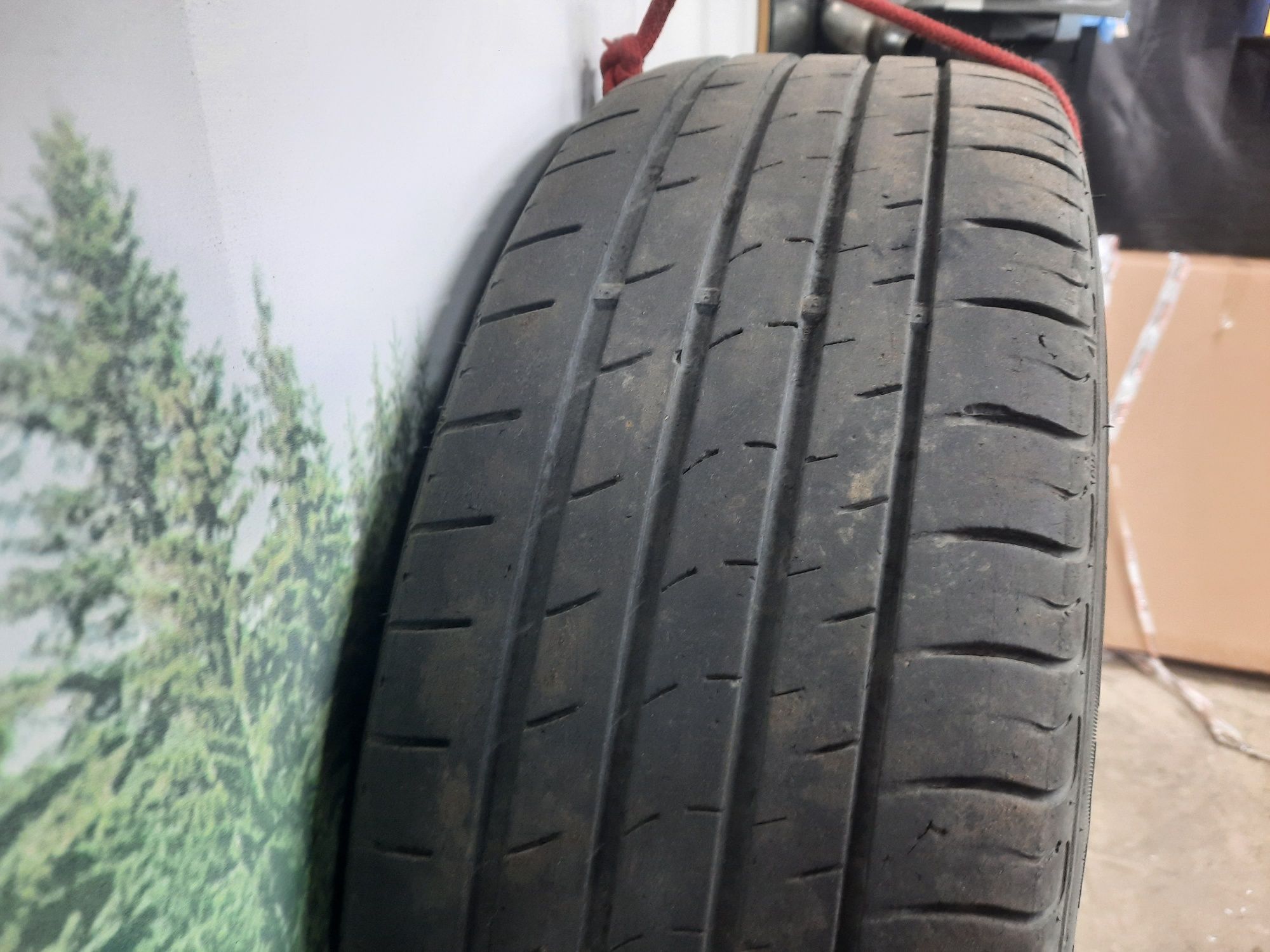 Резина летняя R19.