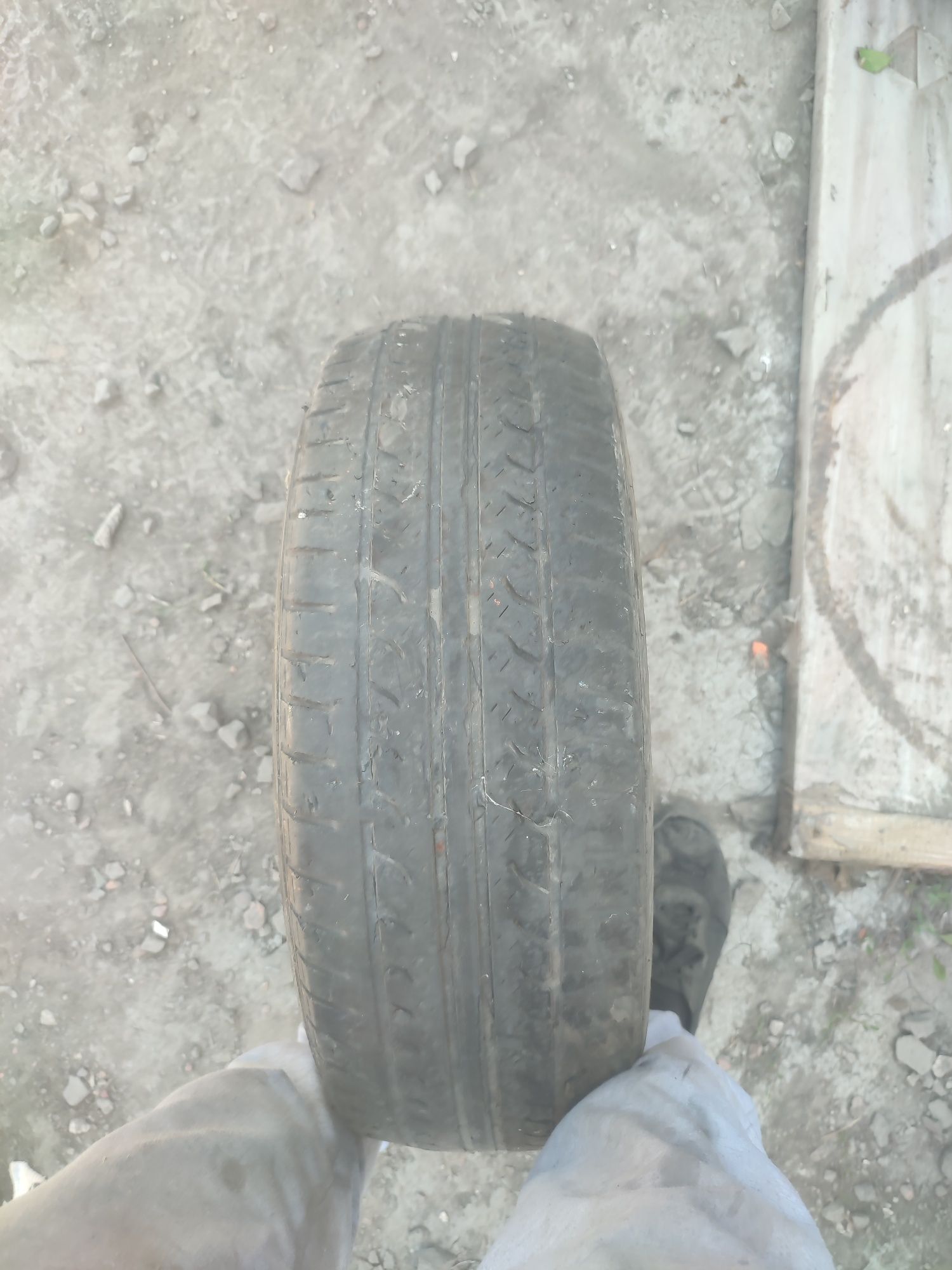 Шина безкамерка размер 185/60 R15