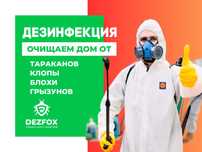 Дезинфекция Обработка От Насекомых Тараканов Алматы Санитарная Средств