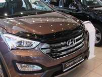 Мухобойки на Hyundai