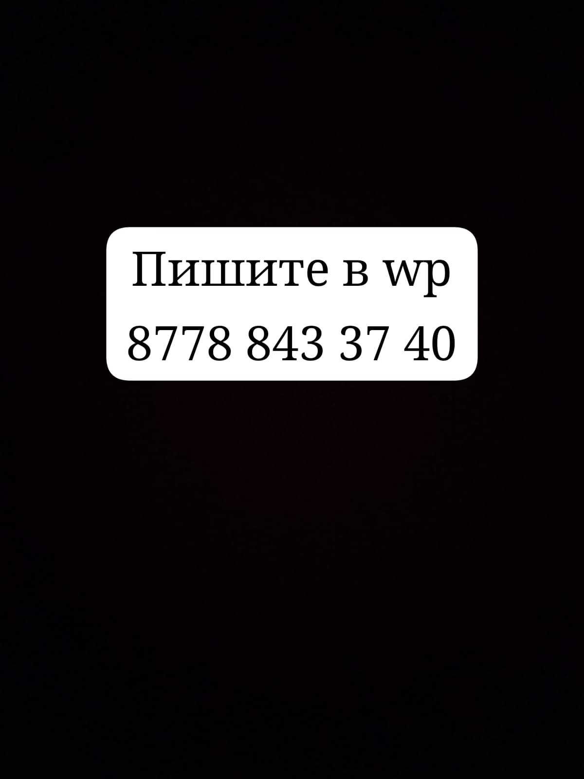 Продаю собаку, порода американский шарпей, 5 месяцев.