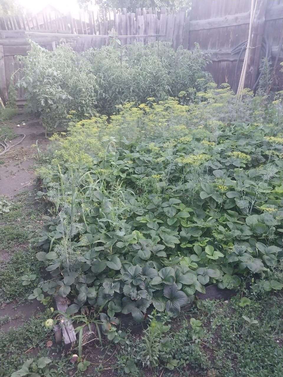 Продам дом срочно