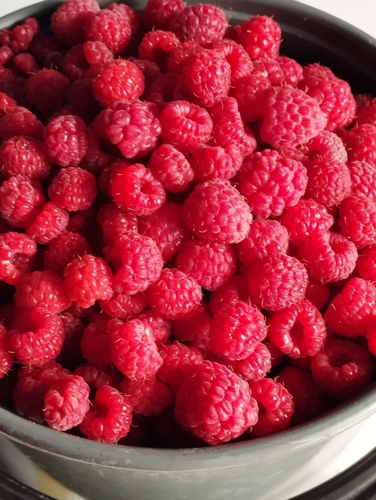 Продам малину свежесобраная