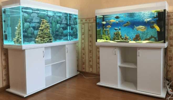 ОБСЛУЖИВАНИЕ тропических, пресноводных аквариумов AQUA STORE Астана