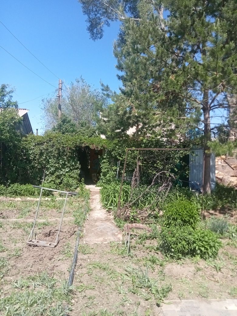 Дачный участок с домиком