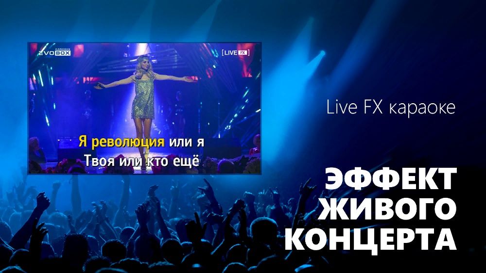 Премиальная караоке-система для дома EVOBOX Plus