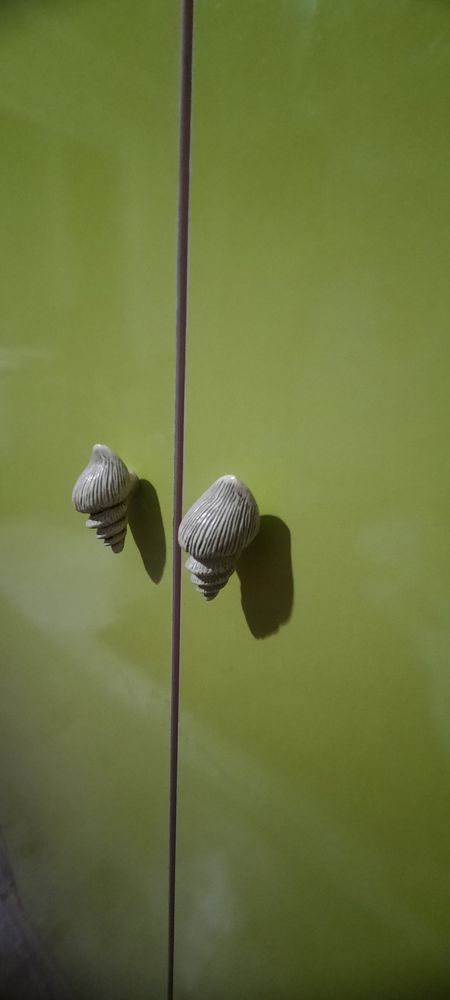 Детская мебель. 3/1 шкаф, кровать, школьный уголок