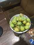 Продам груши очень вкусные