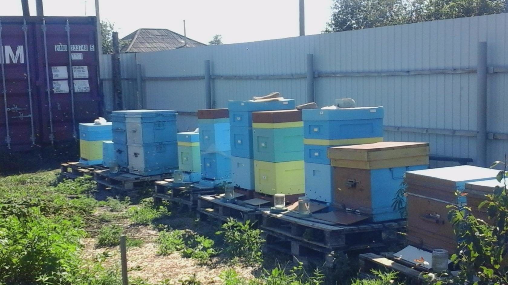 Продам свежий мед разнотравие