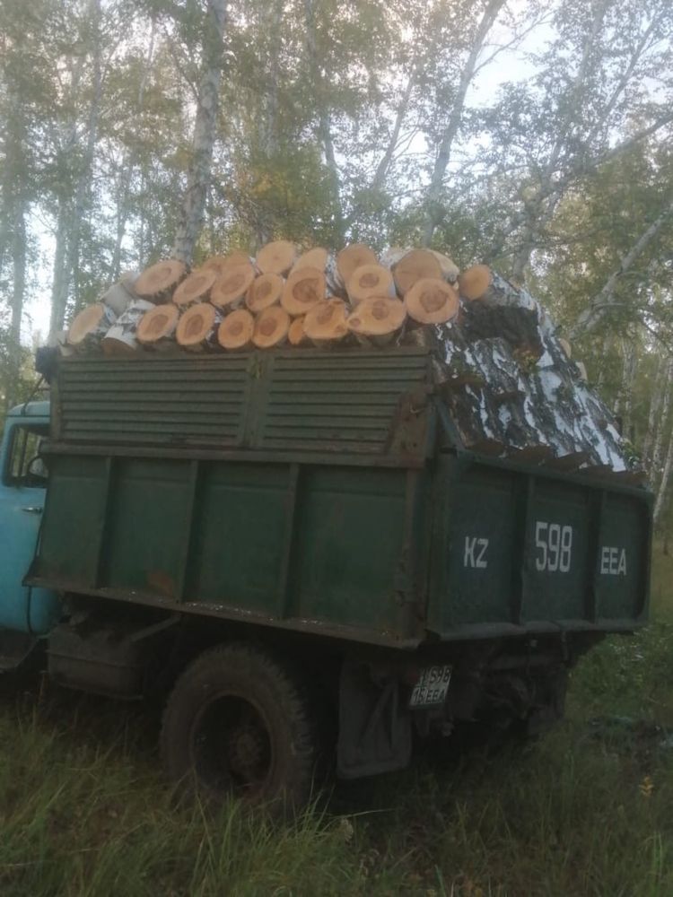 Продам дрова швырок