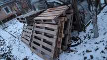 Продам подоны срочно.
