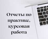 Отчет по практике, курсовая/преддипломная работа