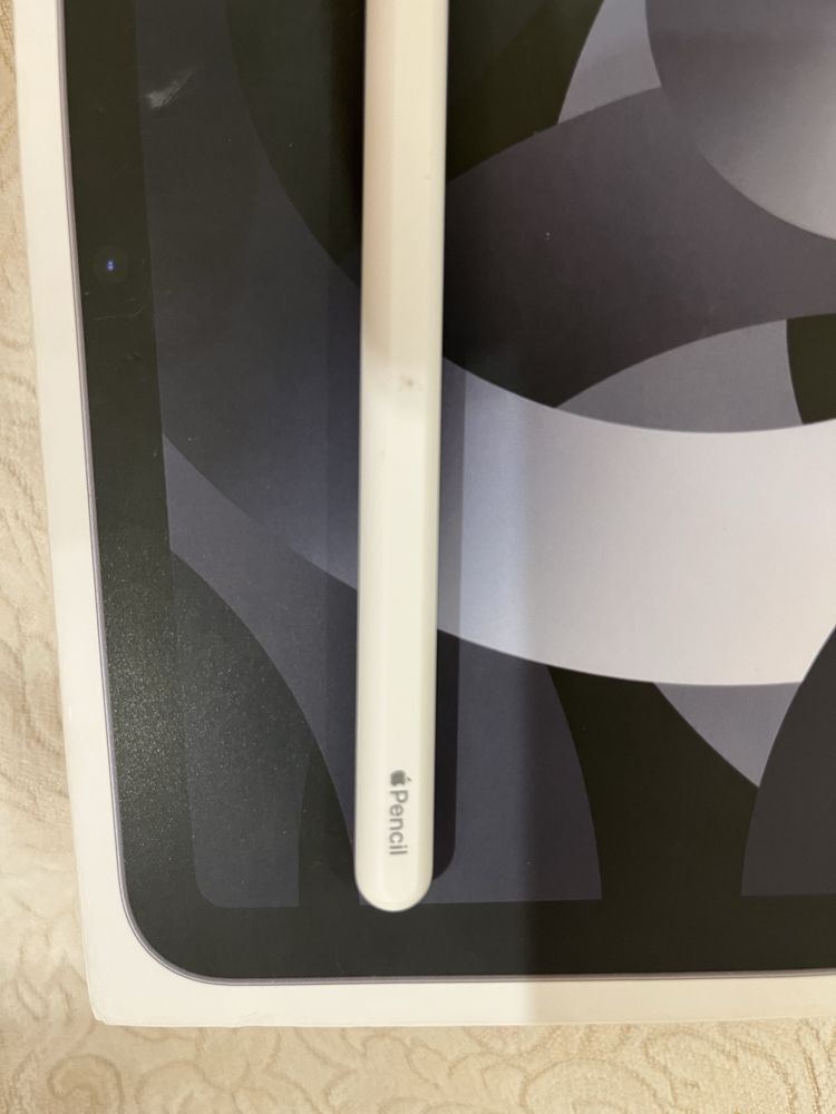 Ipad Air и стилус