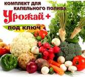 Все для капельного полива участка