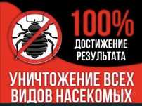 Дезинфекция/ Дезинсекция/ Дератизация/