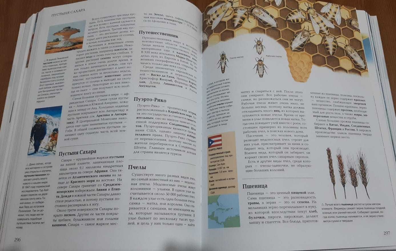 КНИГА: Я знаю всё!