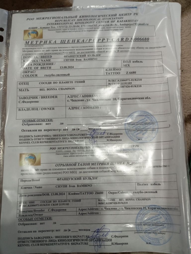 Продам собаку мальчика