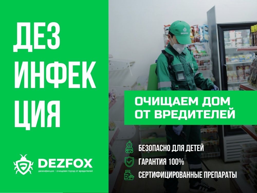 ДЕЗИНФЕКЦИЯ Дизинфекция Уничтодение Тараканов Клещей Насекомых